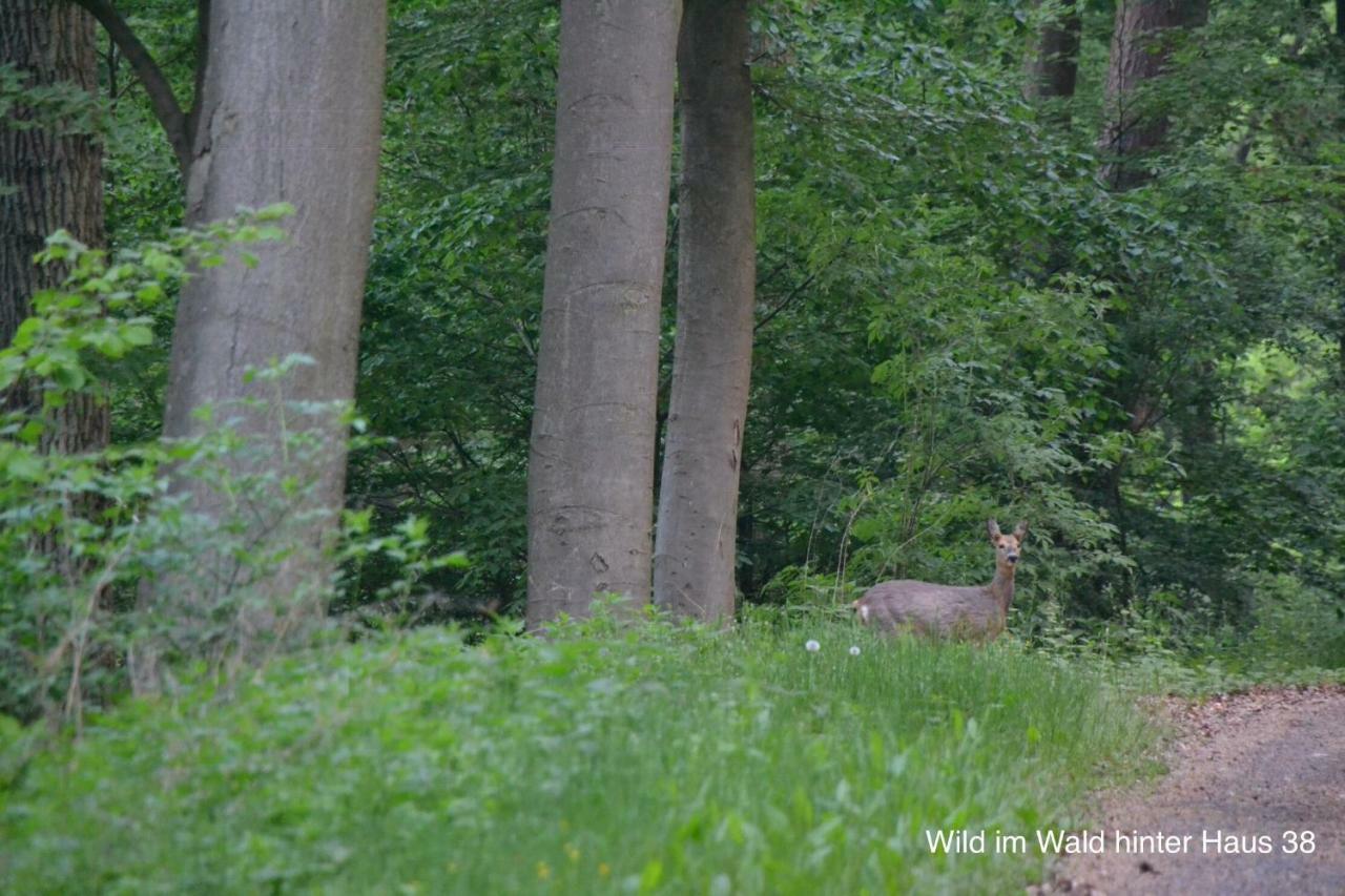 Huis 38 Seepark Kirchheim Kirchheim unter Teck Zewnętrze zdjęcie